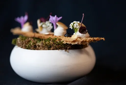 Assiette créative décorée de fleurs et de mousse, style gastronomique raffiné